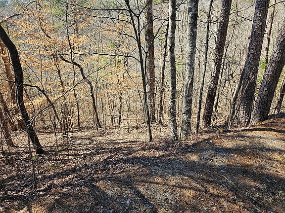 9th image of LOT 26 Oak Ridge Way