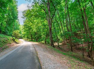0.49 Sleepy Hollow Rd, Ellijay, GA 30536