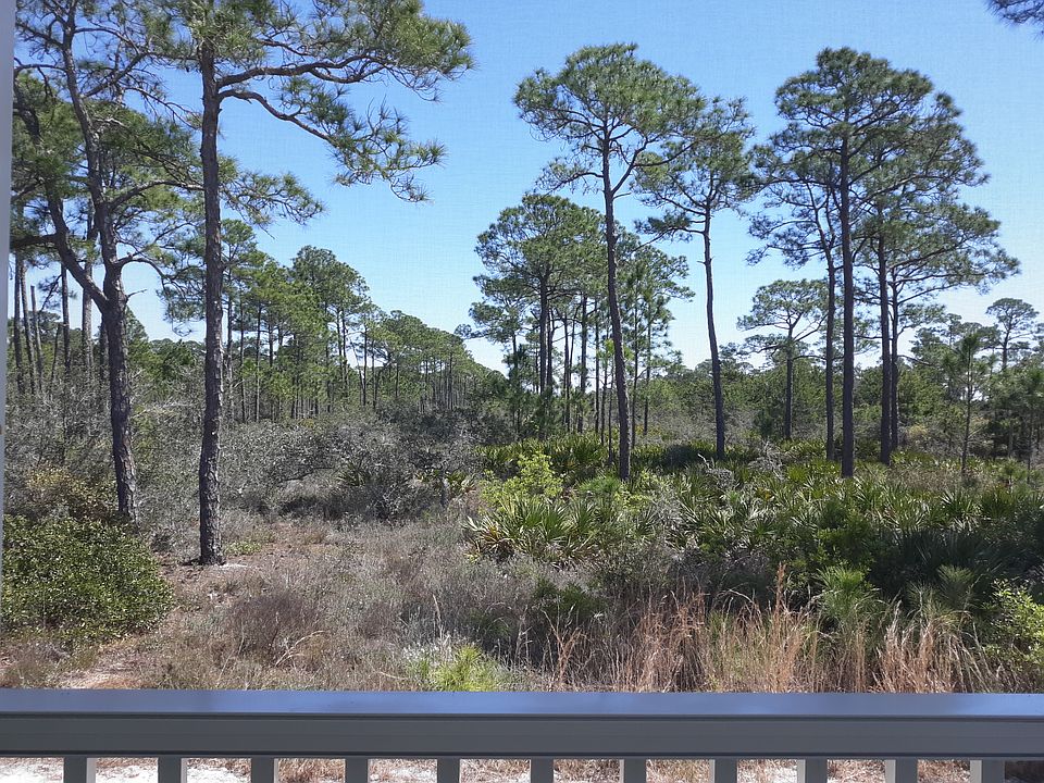 Wood View from Screen Porch