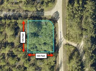 301 Rosanna Ave, Lehigh Acres, FL 33972