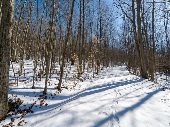 Nys Rte #414, Elmira, NY 14902