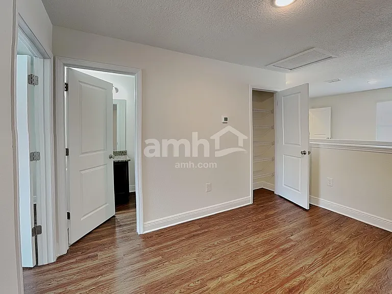 1367 Celery Palm Cv — Photo 12