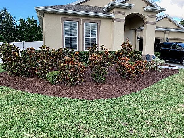 Front Yard