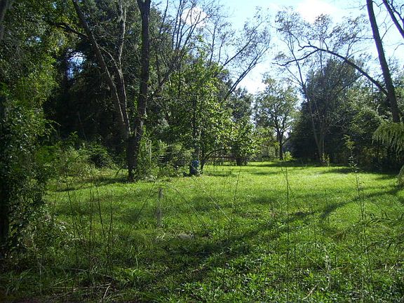 2nd image of 703 E Wacona Dr