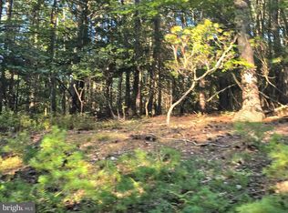 24 & 27 Native Trout Dr, Sugar Grove, WV 26815