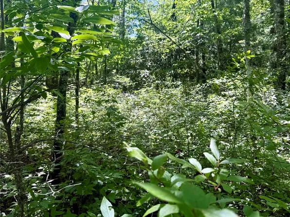 Indian Lake Rd #32, Lake Toxaway, NC 28747
