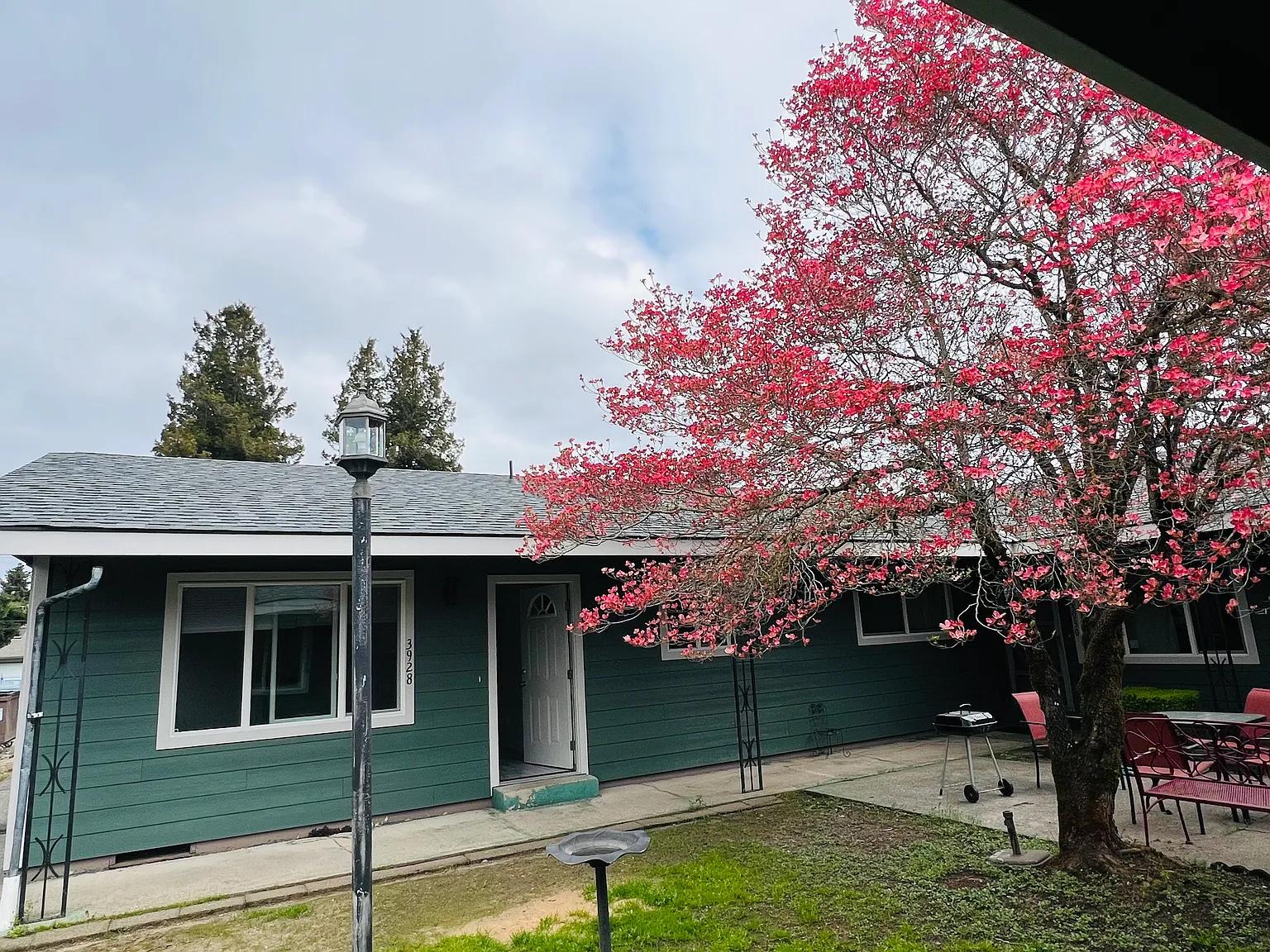 2 bed, 1000 sqft, $1,600 — Photo 1