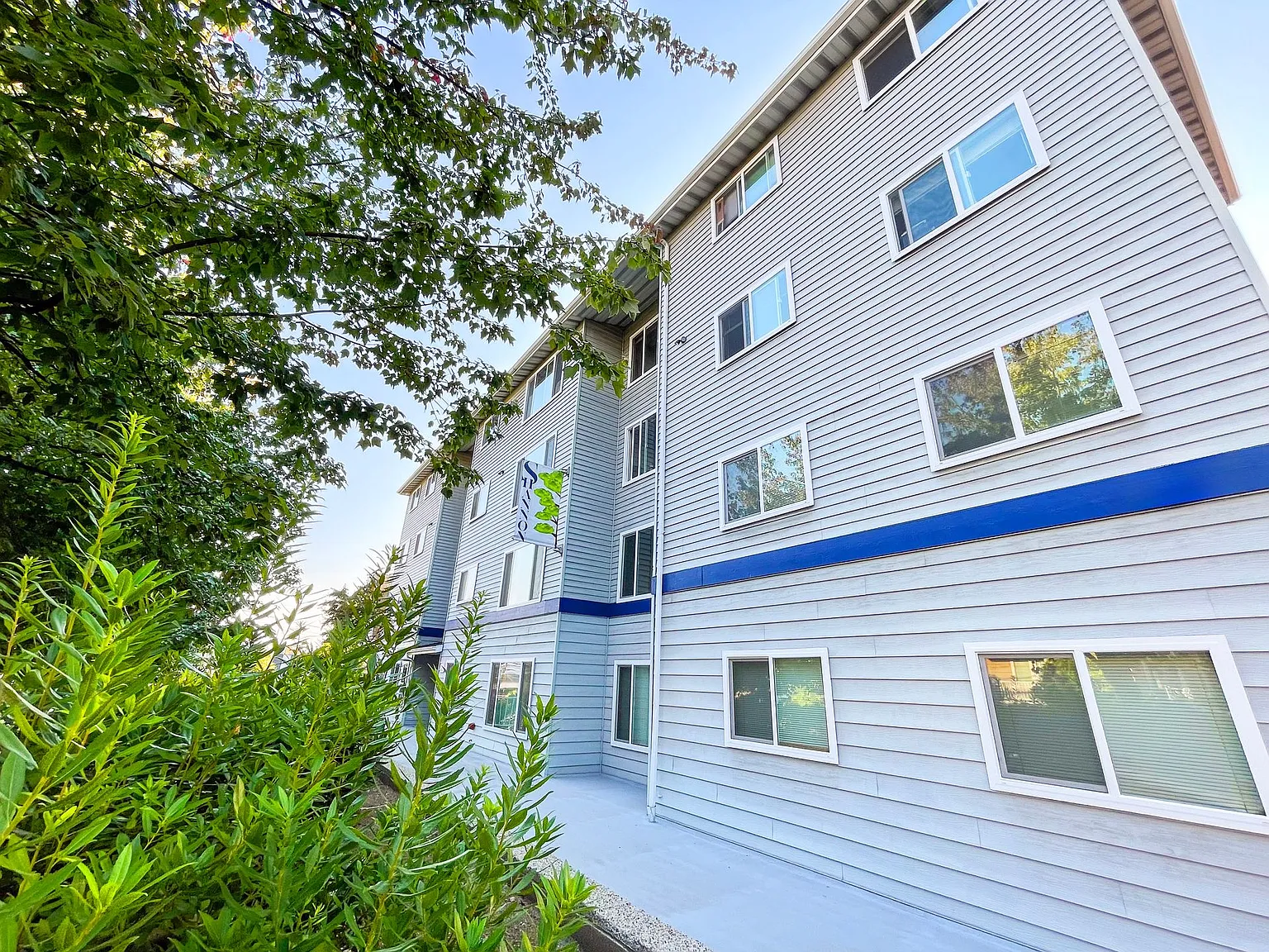 The Shannon Apartments — Photo 2