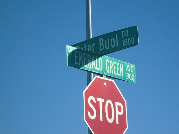 4th image of 1928 Emerald Green Ave