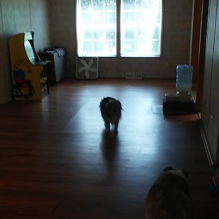 Dining room. Bad image