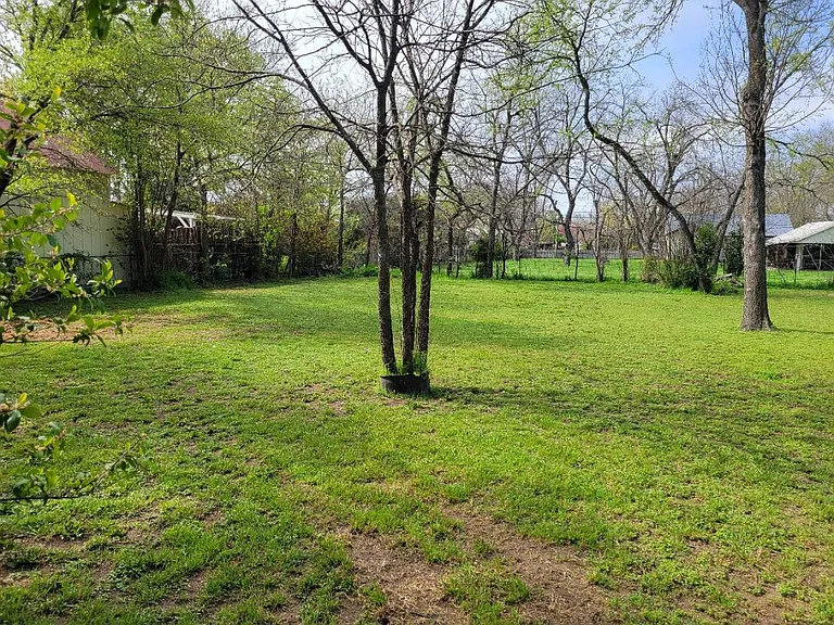 Backyard Southeast
