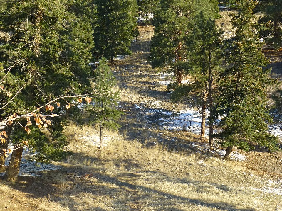 1st image of Lolo Creek Trl Lot 18