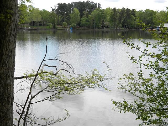 1st image of Lake Mist