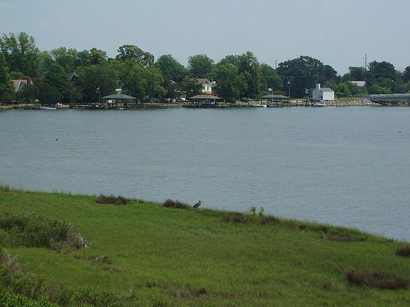 View From Deck
