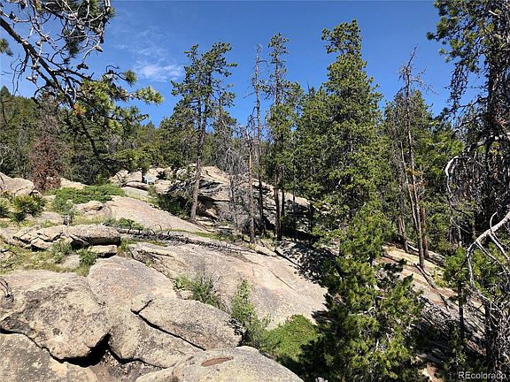 4th image of 32581 Lodgepole Dr