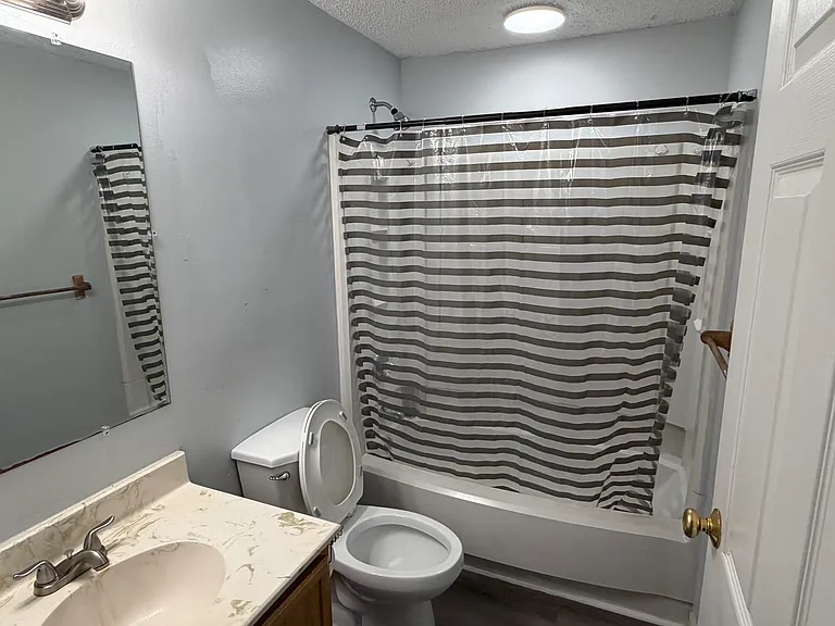 9732 Springfield Woods Cir — Photo 37