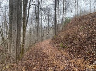 Township Road 17b Forest Ridge Rd, Whittier, NC 28789