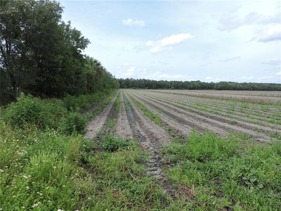 COUNTY ROAD 108 ROAD, Bunnell, FL, 32110