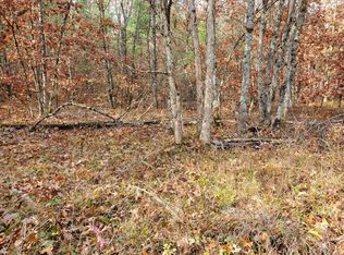 0 Dorsey, Idlewild, MI 49642