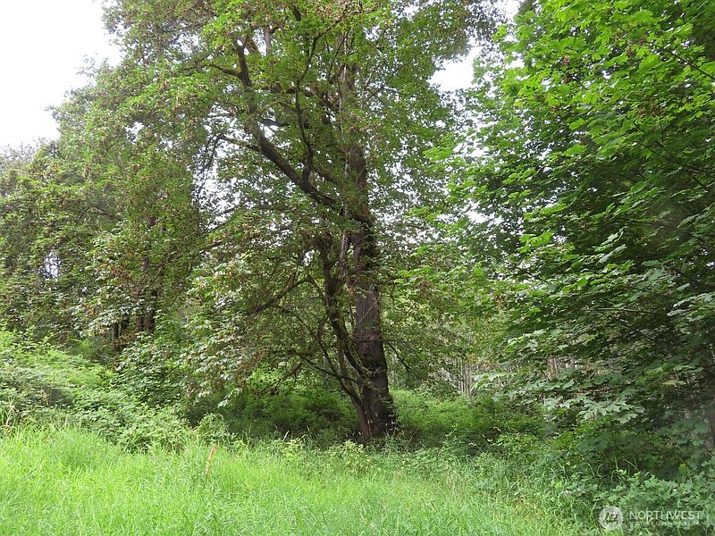 2nd image of 0 XXX Del Ray Road