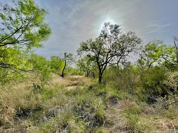3rd image of 3601 FM 140