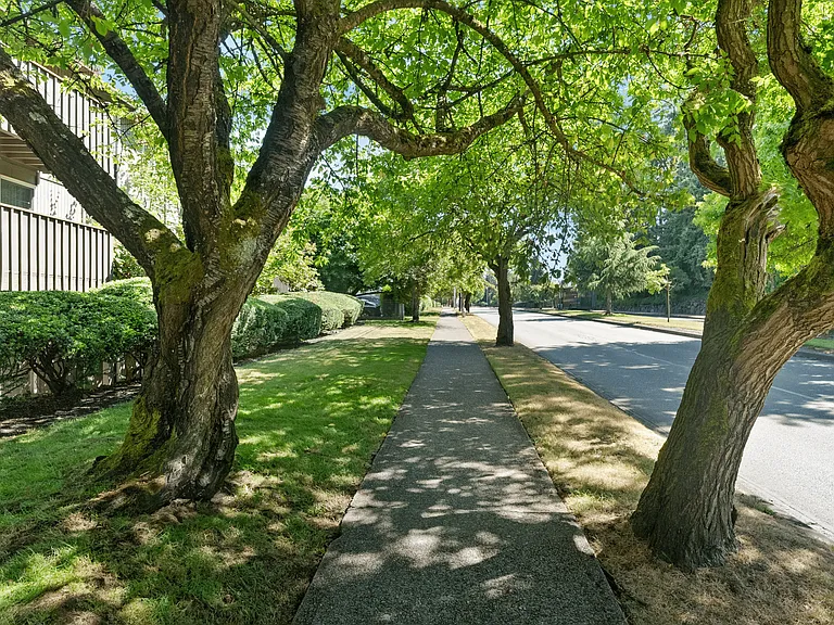 Peaceful, tree-lined walkways around Tacoma Gardens.