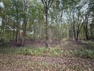 0 Eggert Rd, Dundee, MI, 48131