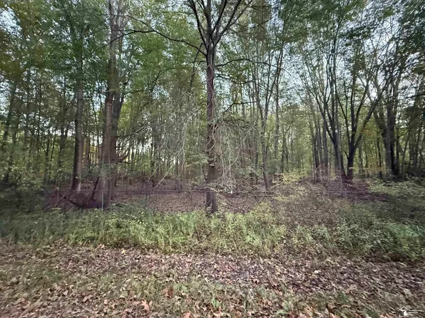0 Eggert Rd, Dundee, MI 48131