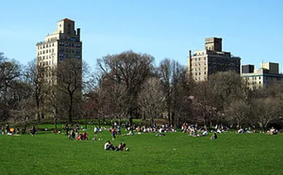 Rented by Lang Realty LLC