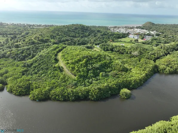 Lote 1 Prairie Km 74.5 0 #3, Punta Santiago, PR 00741