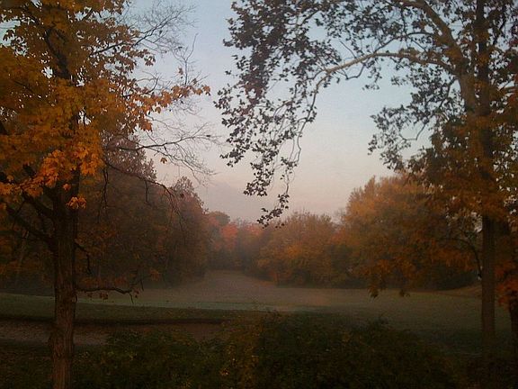 Backyard view of golf course