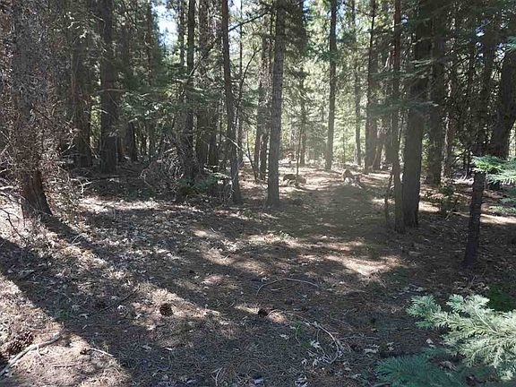4th image of 2420 & 2440 Crooked Creek Ln