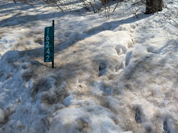 16242 Lake Michigan Dr, West Olive, MI 49460