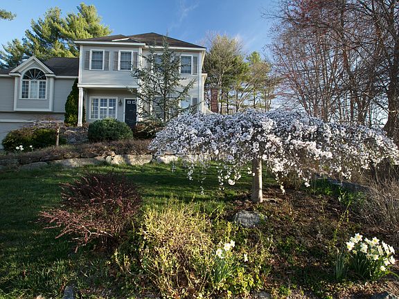 Early Spring