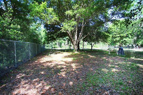 3rd image of 265 Little Orange Lake Dr