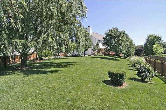 Extensively Landscaped Back Yard