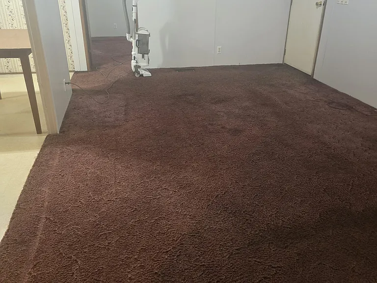 14297 Regina Belcher Hwy — Photo 3