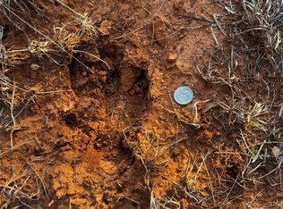 County Road 387, Merkel, TX 79536