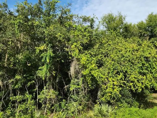 SE 104th Ct Lot 10, Ocklawaha, FL 32179