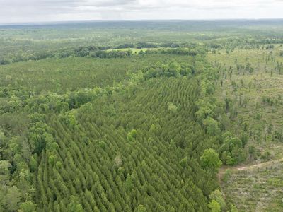 0 Phillips Rd Lot 5, Stapleton, AL, 36578