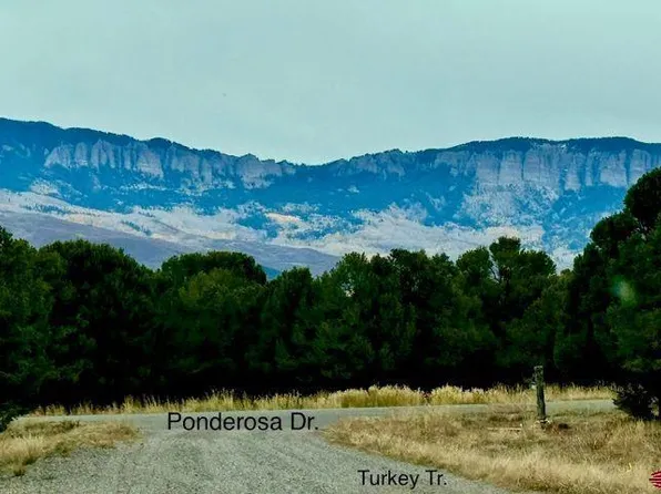 Lot 13G Ponderosa Drive, Ridgway, CO 81432