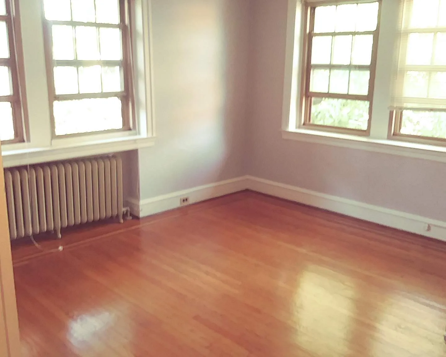 1 bed, 538 sqft, $1,575 — Photo 1
