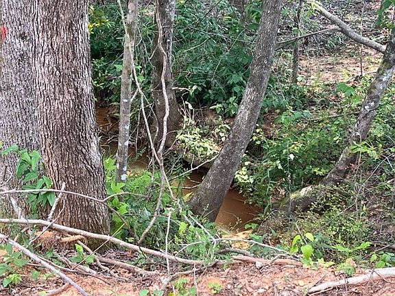 4th image of 2601 County Road 37