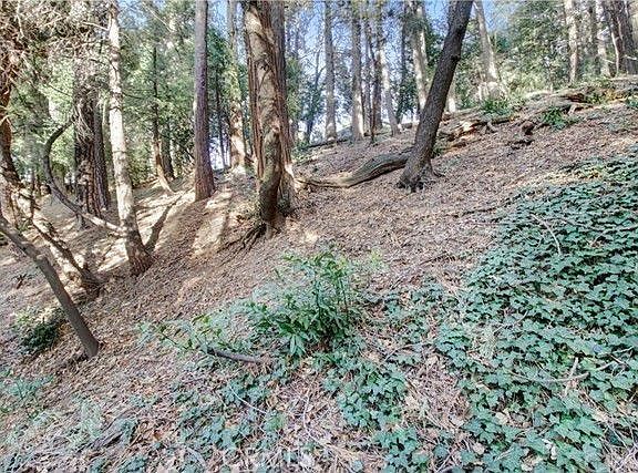 3rd image of 2662 Scenic Dr Lot 2662