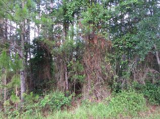 135 Harrison St, Freeport, FL 32439