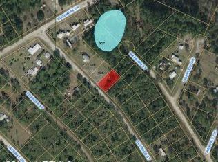 124 Glenside St, Georgetown, FL 32139