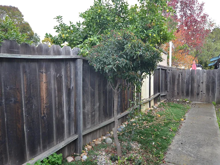 1649 B St — Photo 4