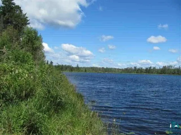 Xxx Murray Forest Rd, Ely, MN 55731