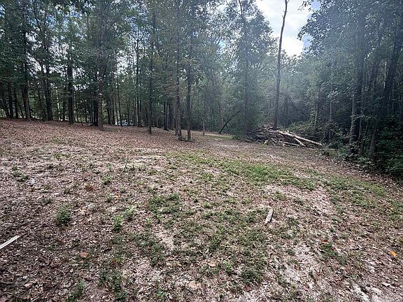 5th image of 43807 State Highway 225