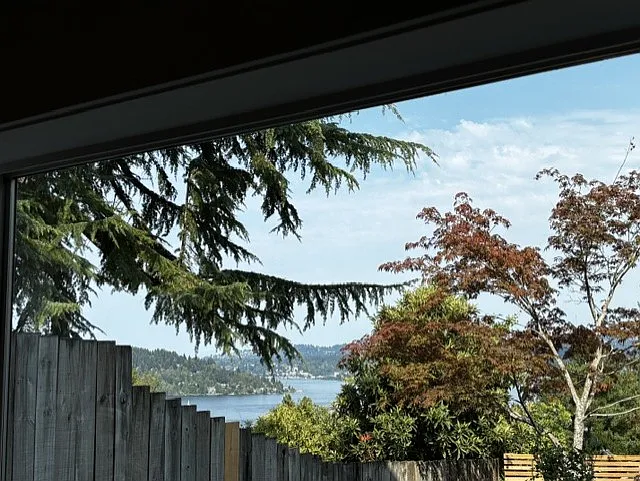 View from the living room window